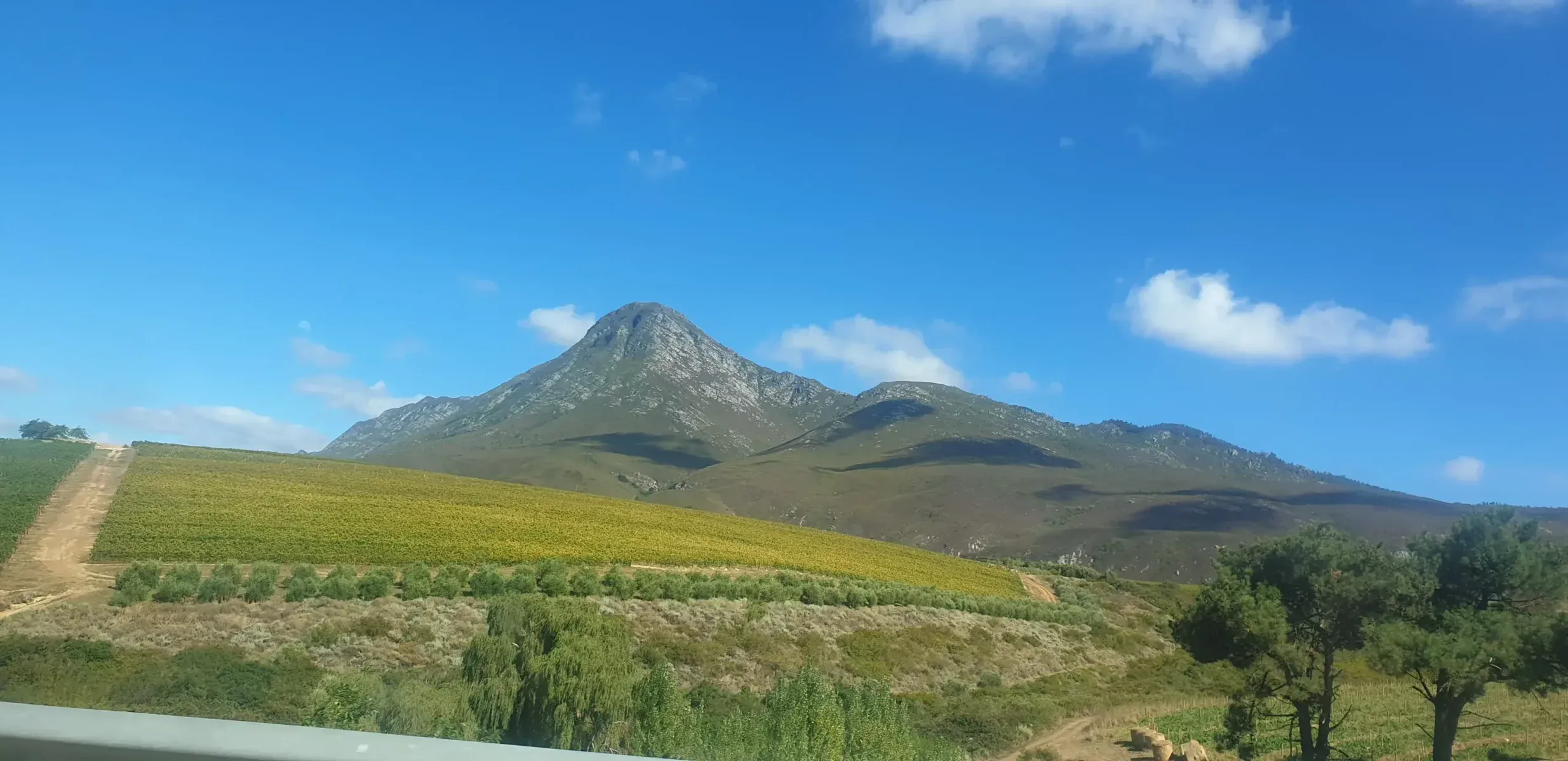 Hemel-en-Aarde Valley wine route near Caledon